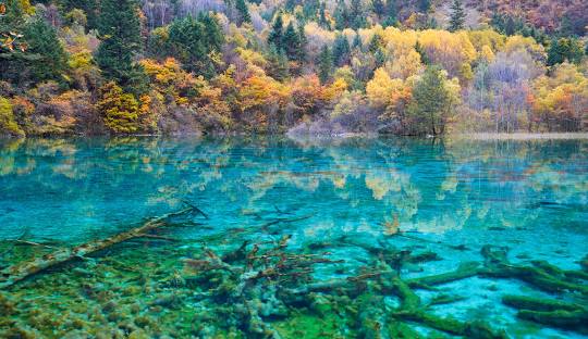 Lembah Jiuzhaigou: Keajaiban Alam di Jantung China